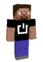 Скин по нику BinaryGuy10