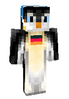 Скин по нику Binguin