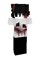 Скин по нику BingusDaCatt