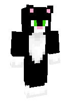 Скин по нику BlackCat20