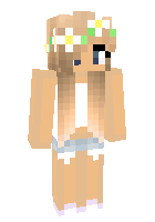 Скин по нику Bloxy