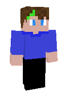 Скин по нику BlueWolf04