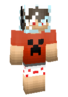 Скин по нику BmoGamerHD