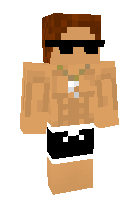Скин по нику Boardies