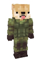 Скин по нику Borshch_5000