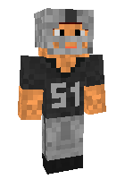 Скин по нику BrianRaider