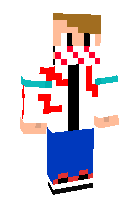 Скин по нику BroReflex