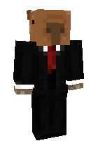 Скин по нику C4RnageCapybored