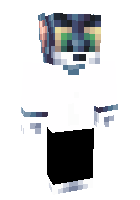 Скин по нику CAT_TOM