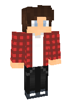 Скин по нику CHIPPI_YT