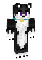 Скин по нику Caatz_XD