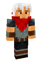 Скин по нику Captain_Bird