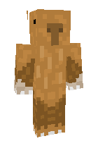 Скин по нику Capybara100