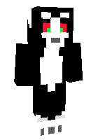 Скин по нику CatInSocks
