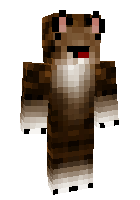 Скин по нику CatTamer1127