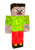 Скин по нику Charik_Bro