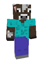 Скин по нику Cobble_Stein
