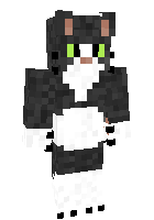 Скин по нику Cool_Cat_