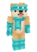 Скин по нику Coolwoobyer