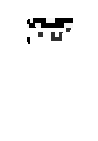 Скин по нику CopycatP