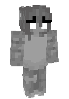 Скин по нику CreeperCat337