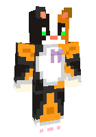 Скин по нику Crumbsdacat