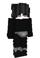 Скин по нику Danik666