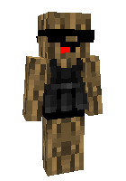 Скин по нику Darksj