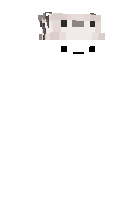 Скин по нику Derp_kun