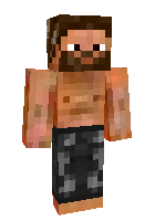 Скин по нику Diamond_Turtle