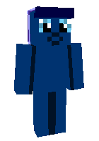 Скин по нику DoctorPony