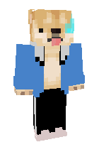 Скин по нику Dogesans