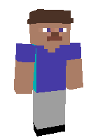 Скин по нику Doodlez1