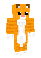Скин по нику Dr_Fluffyk