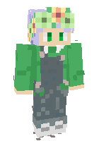 Скин по нику DragonHeartMage