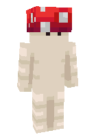Скин по нику Drizzer