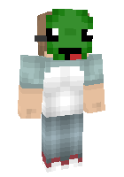 Скин по нику DruggedTurtle