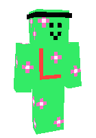 Скин по нику Dylqn