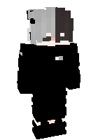 Скин по нику EGE_GAMER_455
