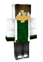 Скин по нику ELYTRA_MASTER