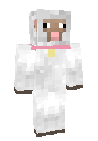 Скин по нику Eat_Sleep_Build