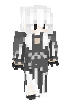 Скин по нику Echidna90
