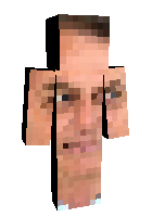 Скин по нику Elige_