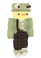 Скин по нику Elnae