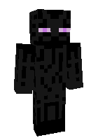 Скин по нику Ender147