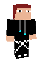 Скин по нику EnderDro