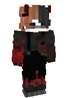 Скин по нику Ender_Malchik