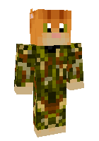 Скин по нику Ensign_Cat