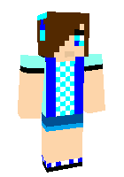 Скин по нику Er_Gamer