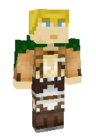 Скин по нику Erwin